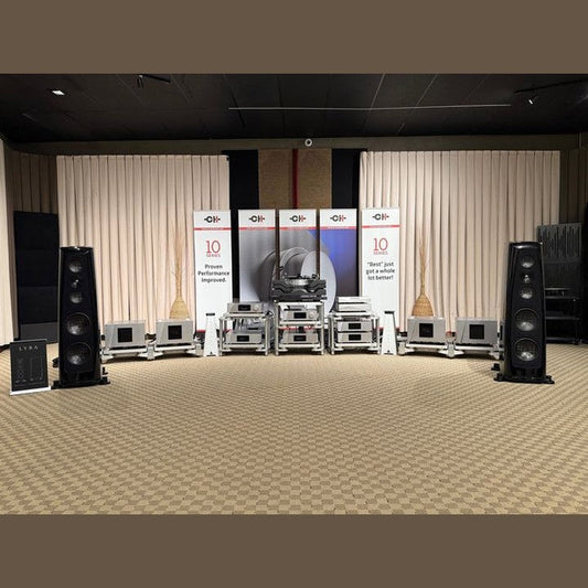 Why Visit an Audiophile Store Instead of Buying Online