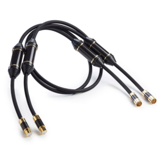 Shunyata Research Omega XLR 2 meter Black/Gold Demo - Sunny Components Inc.