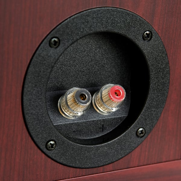 Dynaudio DM 2/6 (Black Ash)