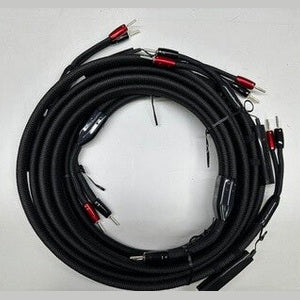 AudioQuest 8ft Pair William Tell Silver BIWIRE Speaker Cable (DEMO)