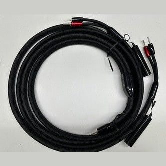 AudioQuest 8ft Pair William Tell Silver BIWIRE Speaker Cable (DEMO)