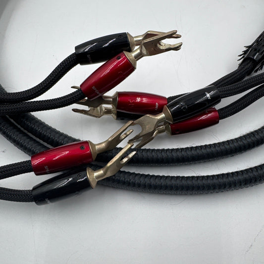 AudioQuest Meteor 7ft Spade 1 pair Demo - Sunny Components Inc.