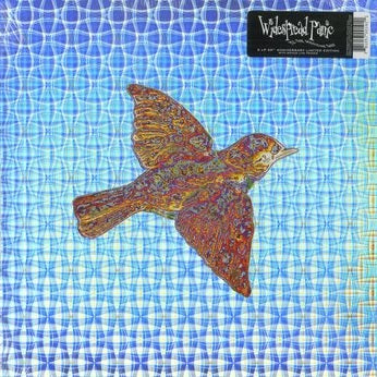 Widespread panic "Til the medicine takes"