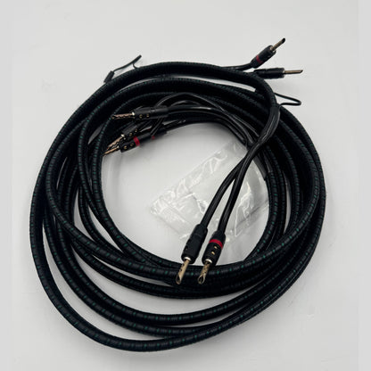 AudioQuest Rocket 88 Loudspeaker cables 10ft Banana 1 pair demo - Sunny Components Inc.